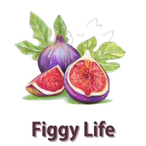 Figgy Life icon2