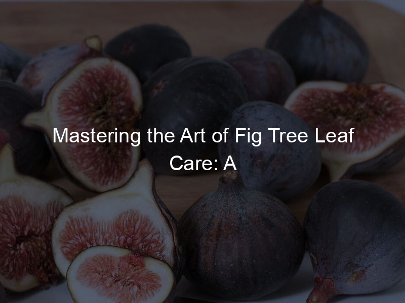 Mastering the Art of Fig Tree Leaf Care: A Comprehensive Guide