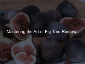 Mastering the Art of Fig Tree Removal