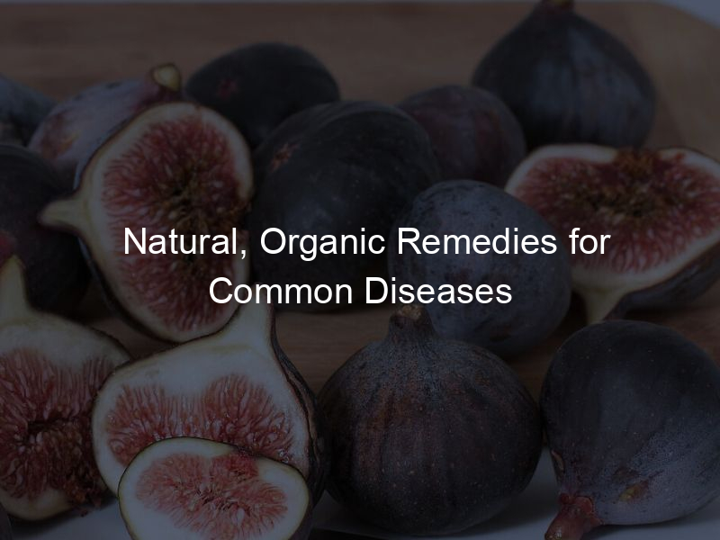 Natural, Organic Remedies for Common Diseases