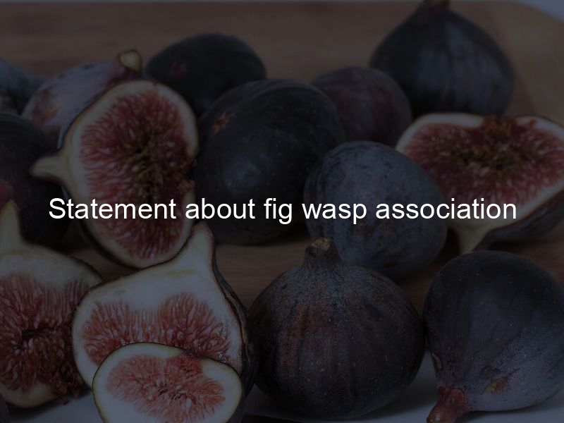 Statement about fig wasp association