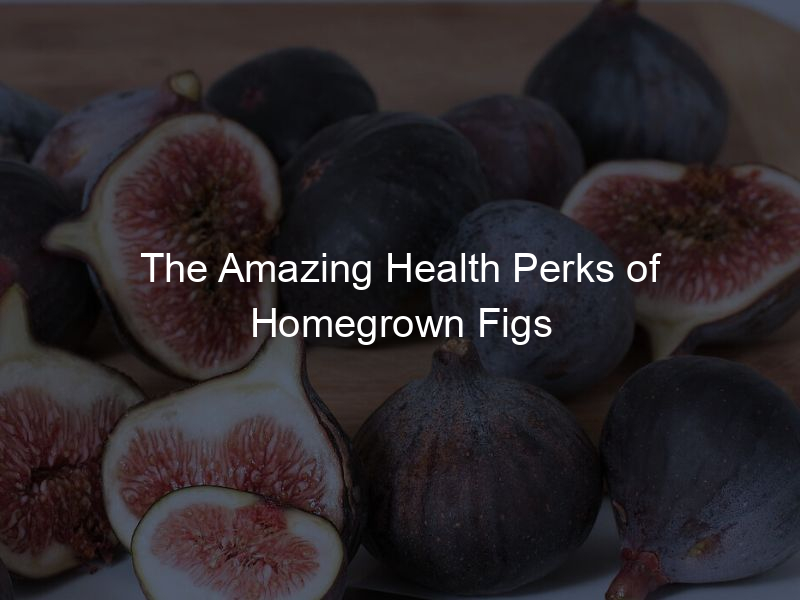 The Amazing Health Perks of Homegrown Figs